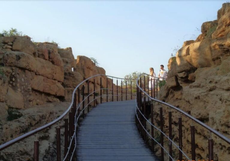 AGRIENTO STEPS