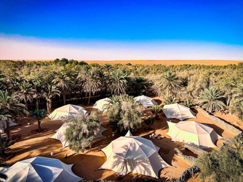 A circle of seven large white tents in a clearing of palm trees. In the horizon, you can see the Sahara desert