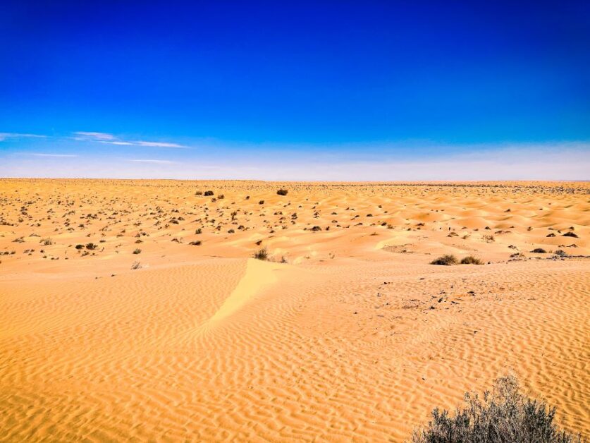 The Sahara Desert