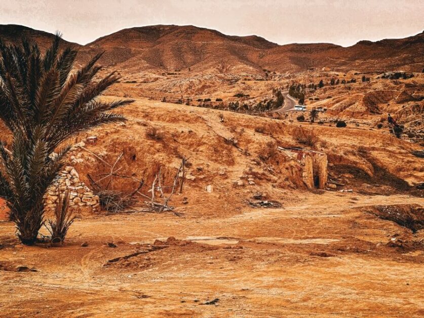 A desert landscape with sparse vegetation and mountain peaks