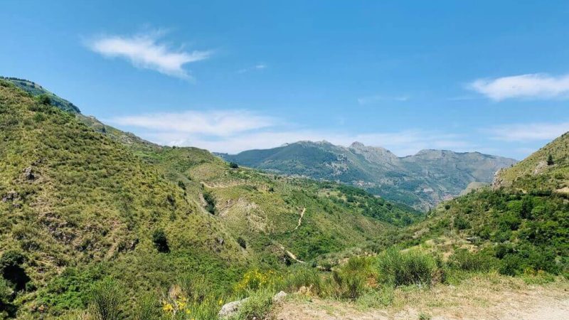 NEBRODI PARK, A PARK WITH HILLS, AND THICK FOREST